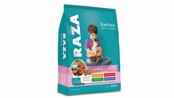 RAZA GATITOS HASTA 12 MESES DE 8 KILOGRAMOS
