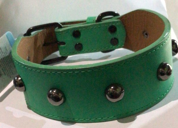 COLLAR BUEN AMIGO VARIEDAD DE COLORES