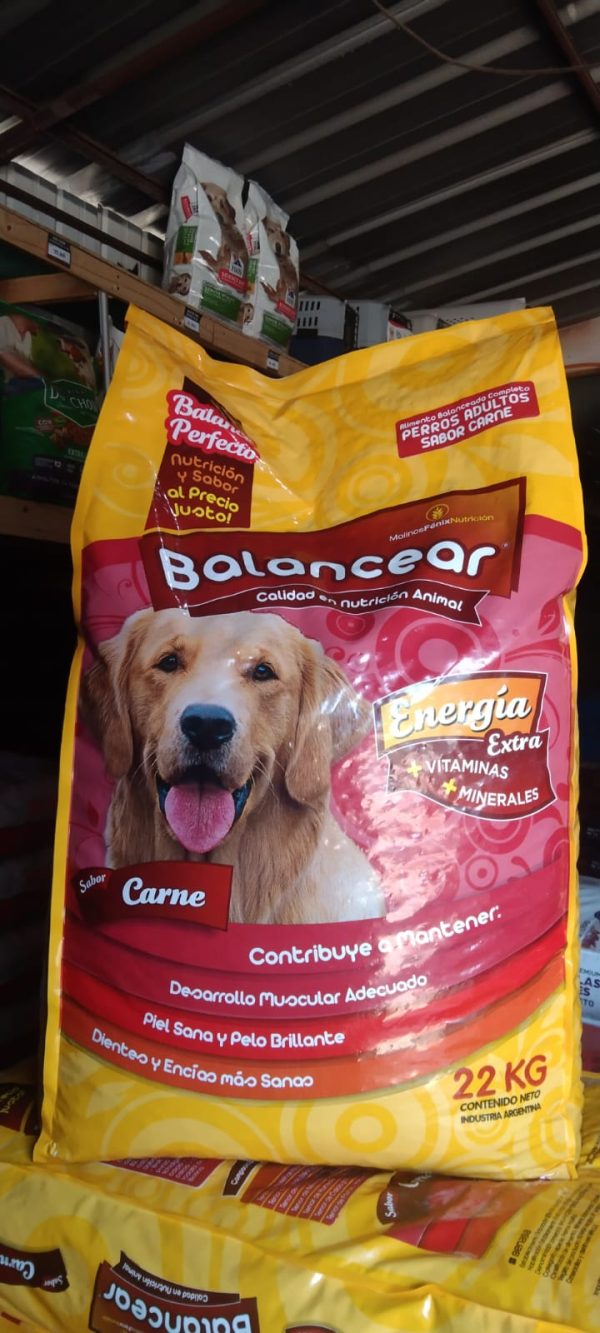 balancear 22 kilos