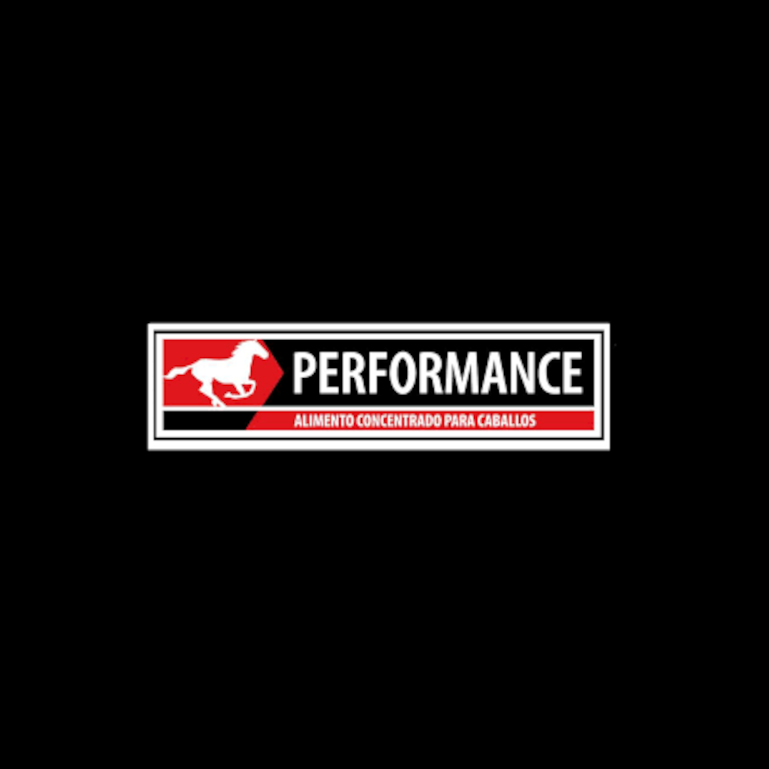 Performance Mantención Caballo
