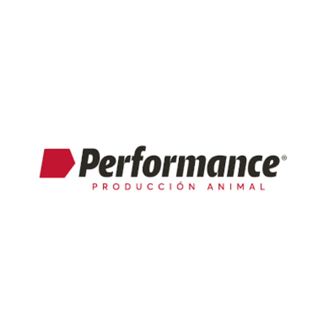 Performance